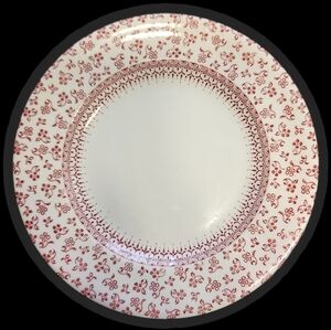 English Ironstone England- Red Floral Rim Soup Plate